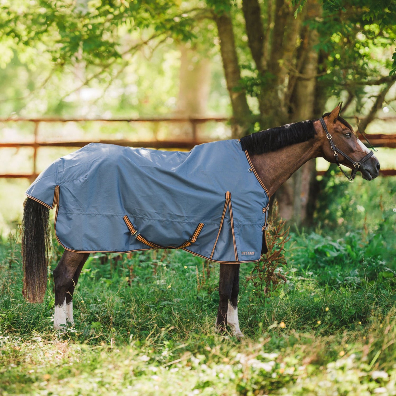 Hyltarp turnout rug Dusty 0g china blue