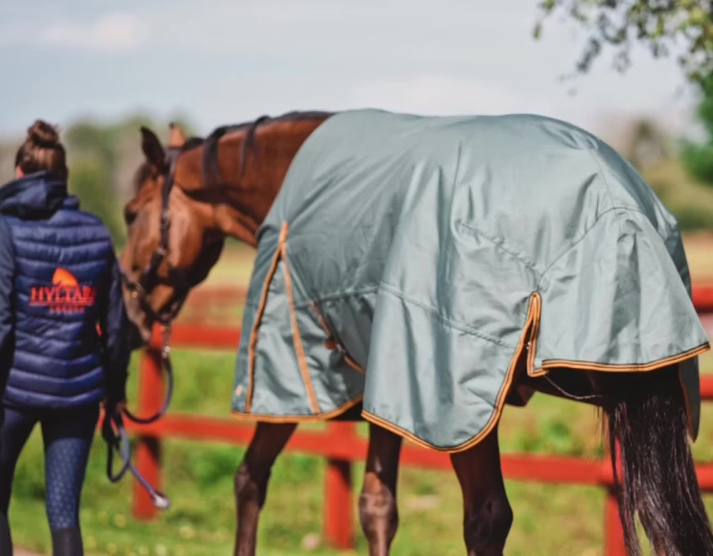 Turnout Rug Caisa 250 grams