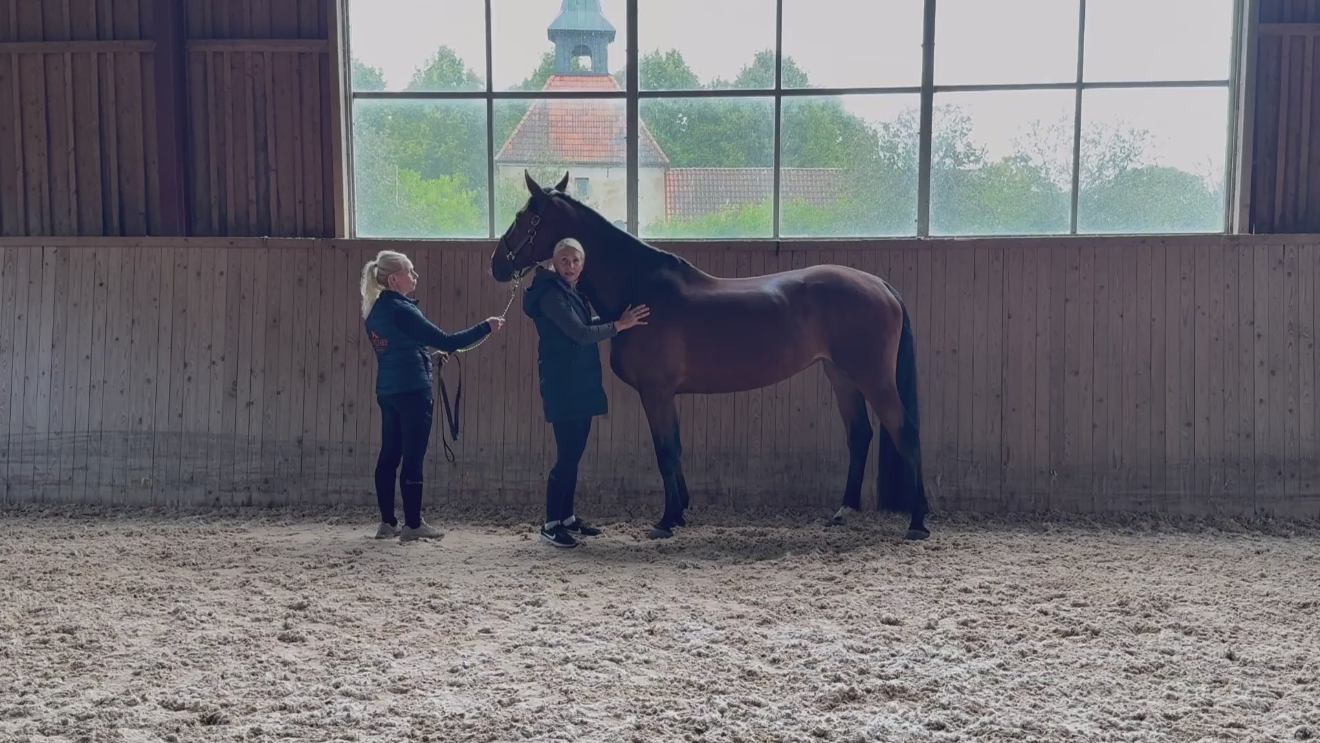 Laden Sie das Video: 